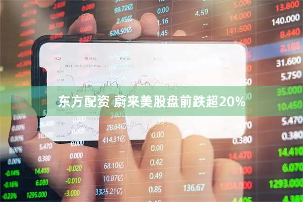 东方配资 蔚来美股盘前跌超20%
