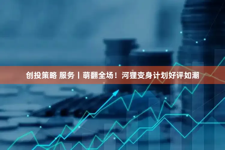 创投策略 服务丨萌翻全场！河狸变身计划好评如潮